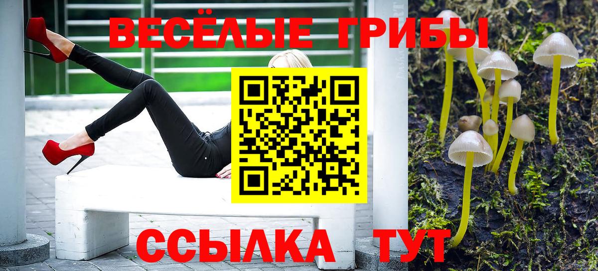 Сургут  Псилоцибиновые грибы прущие грибы  Вход с VPN 