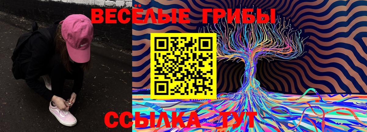 Псилоцибиновые грибы Psilocybe Сургут